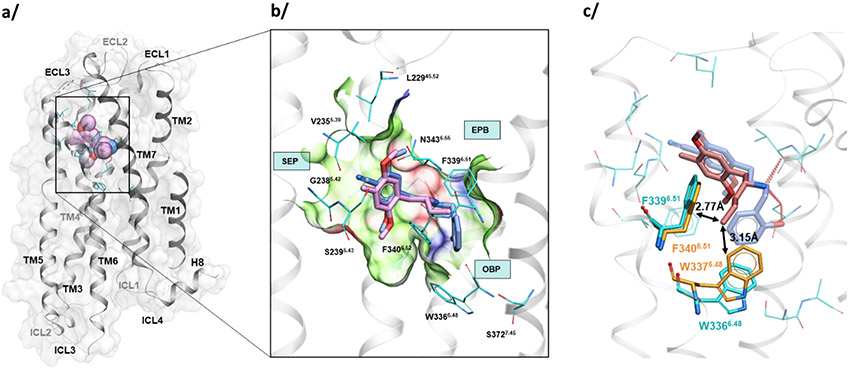 Figure 4.