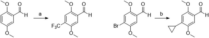 Scheme 2: