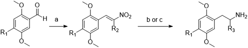 Scheme 1: