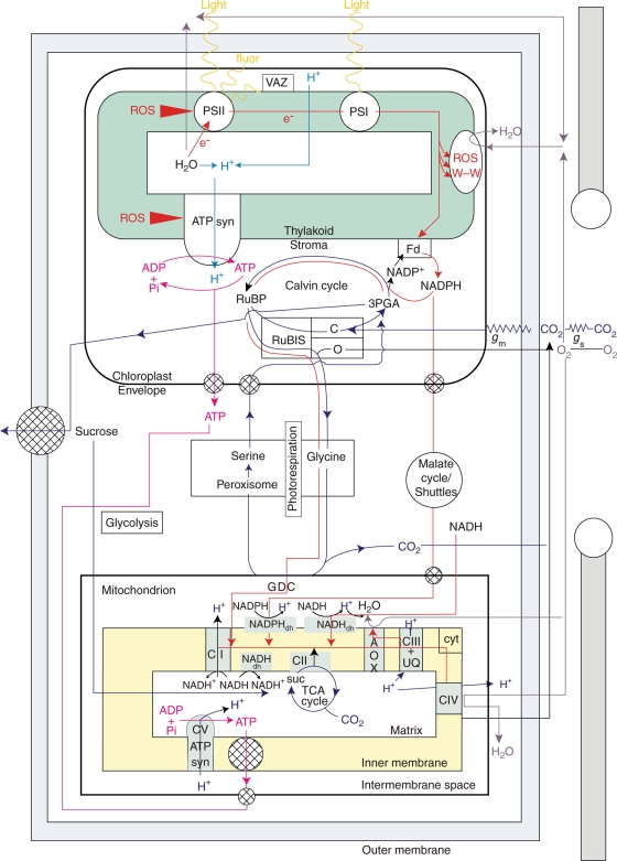 Fig. 1.