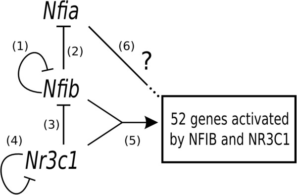 Figure 8