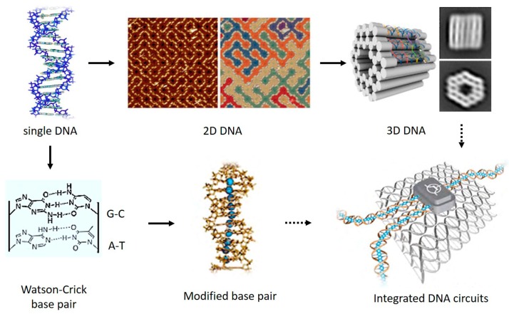 Figure 22