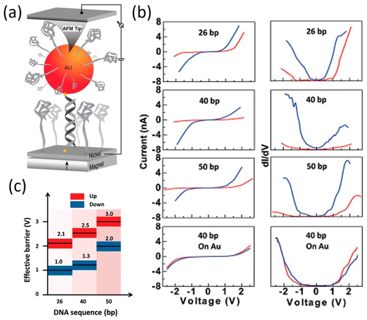 Figure 19