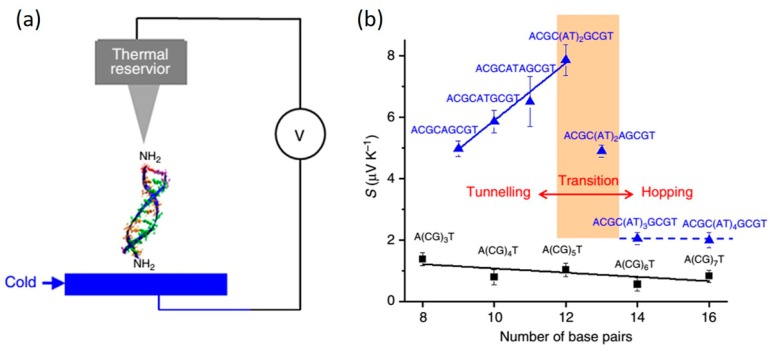 Figure 21