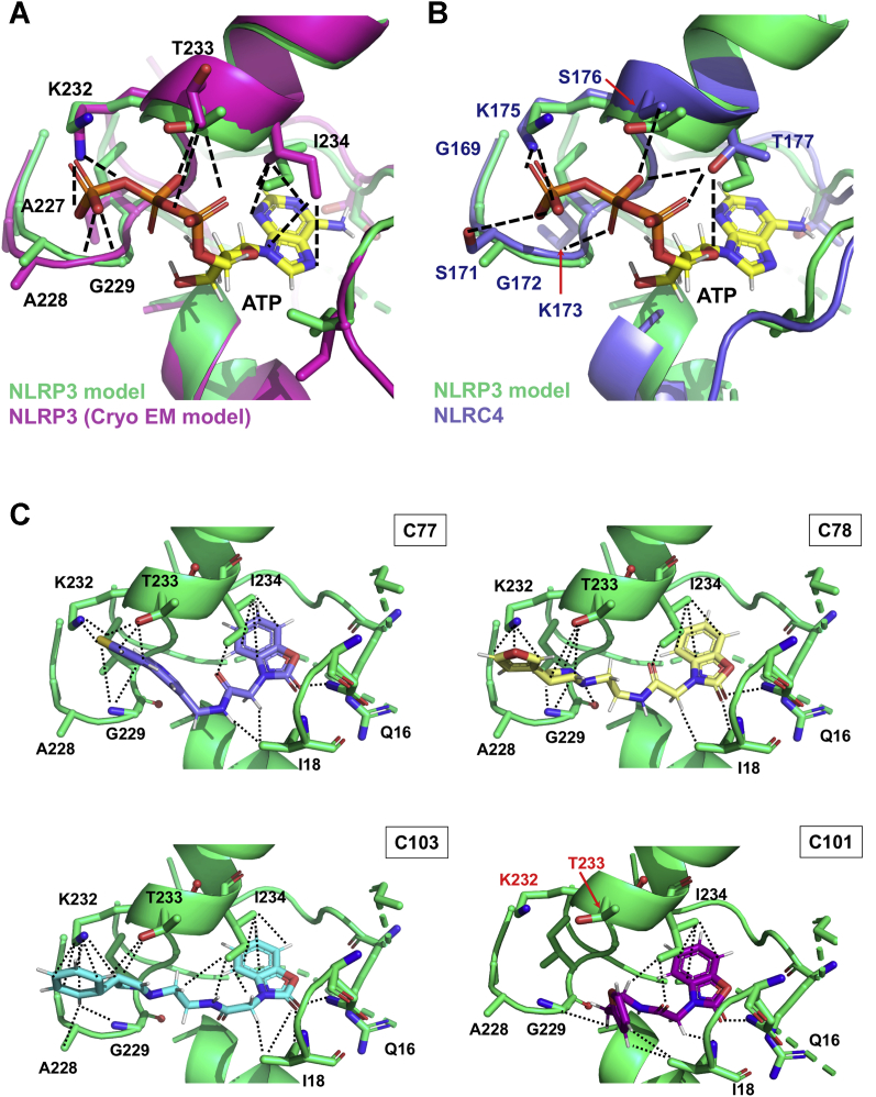 Figure 7