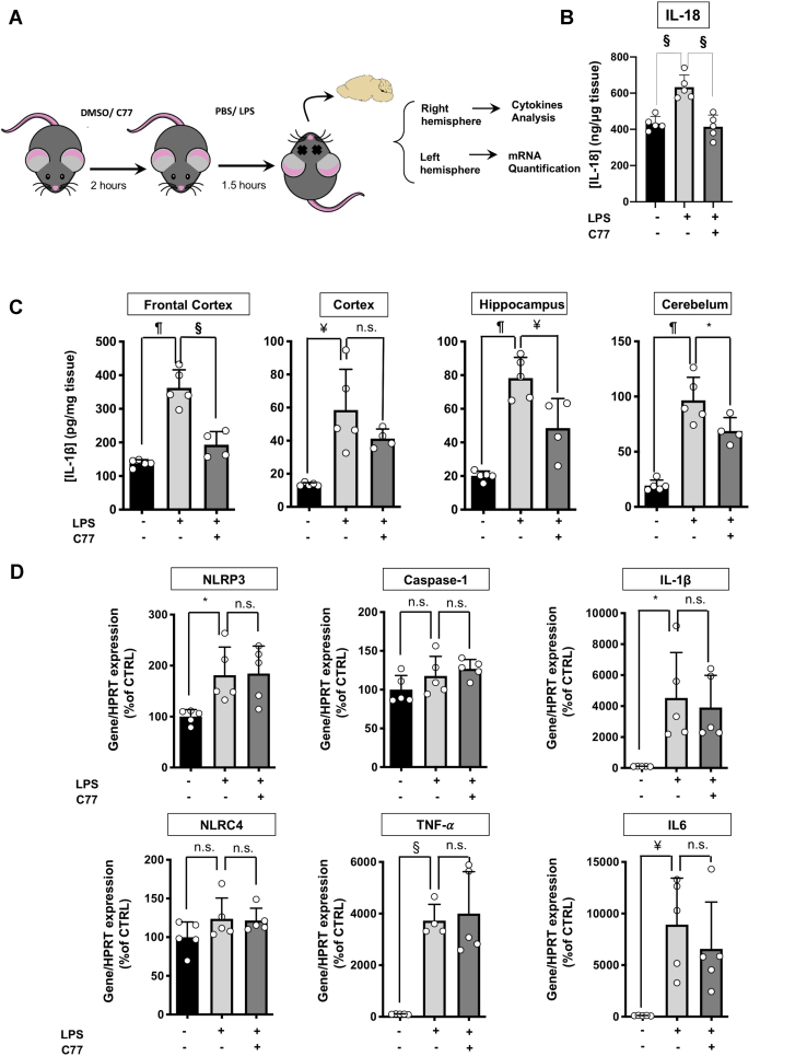 Figure 6