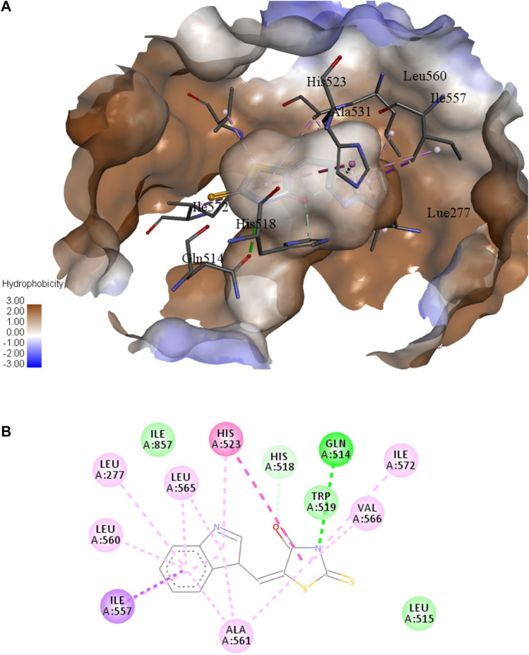 FIGURE 6