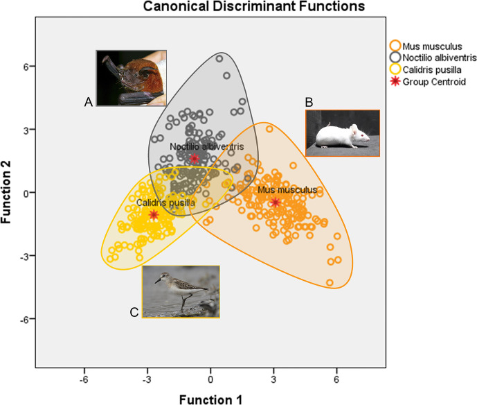 Figure 2