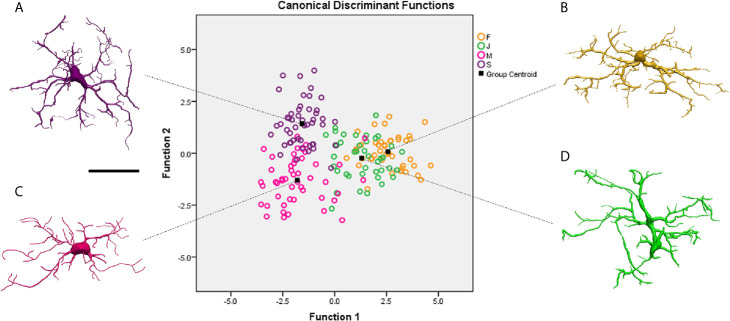 Figure 4