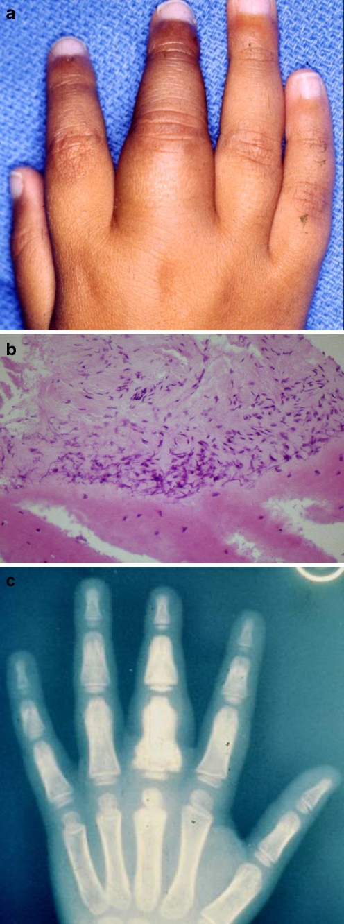 Fig. 6