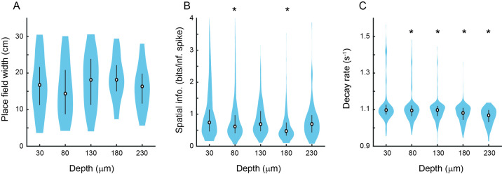 Figure 5—figure supplement 1.