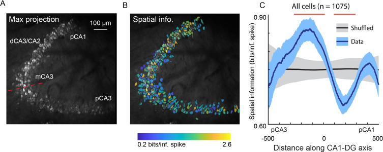 Figure 6.