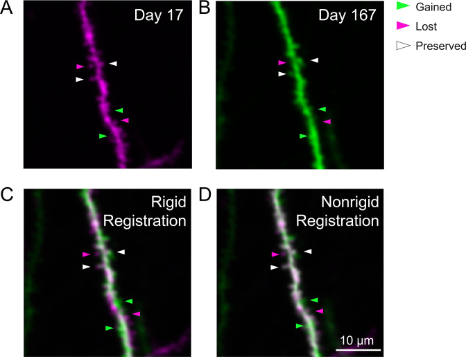 Figure 3—figure supplement 2.