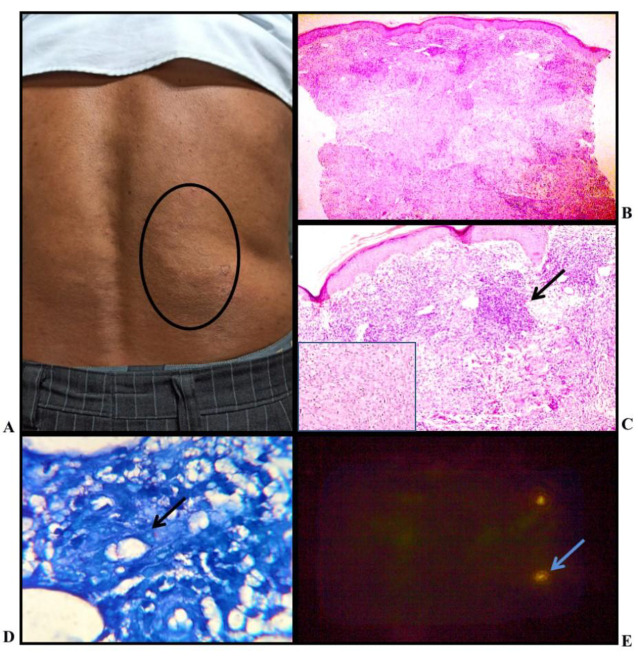 Fig. 3