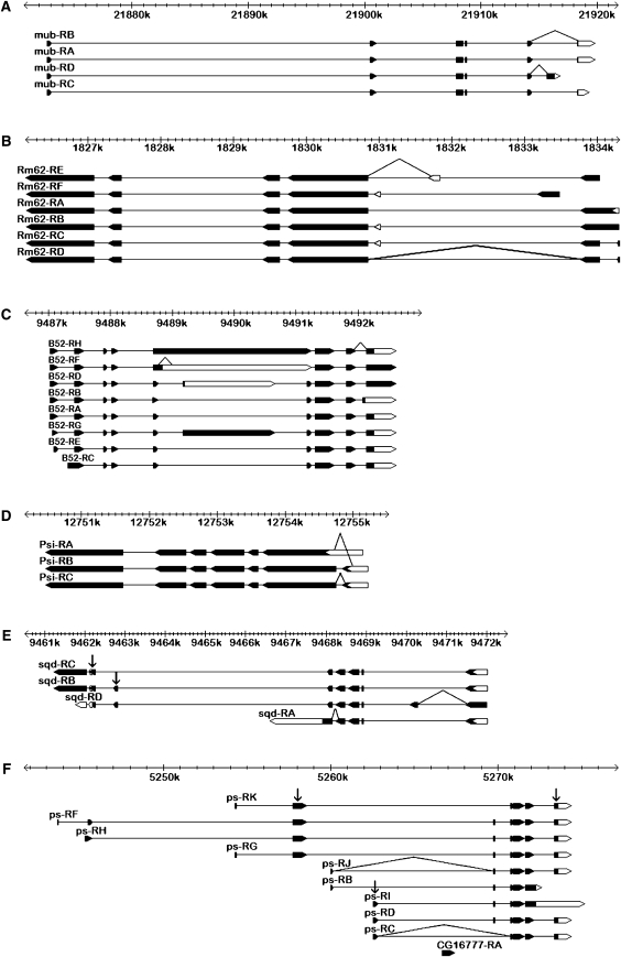 Figure 4.—