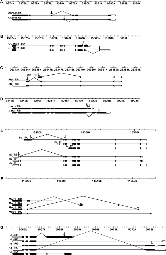 Figure 1.—