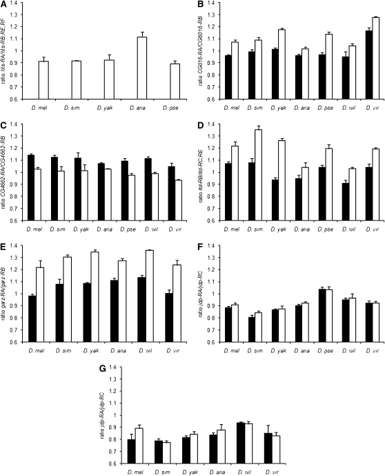 Figure 3.—