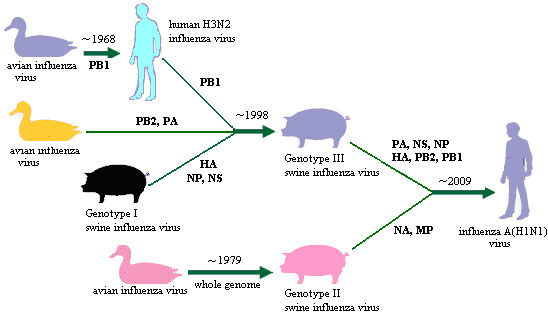 Figure 7