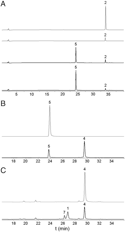 Fig. 3.