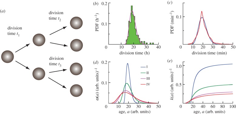 Figure 1.