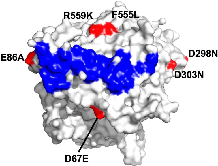 Extended Data Fig. 2