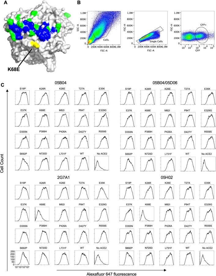 Extended Data Fig. 4