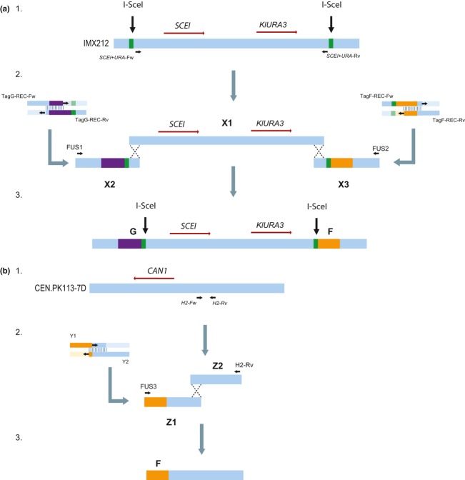 Fig. 1