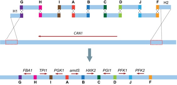 Fig. 2