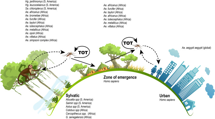 Figure 4.