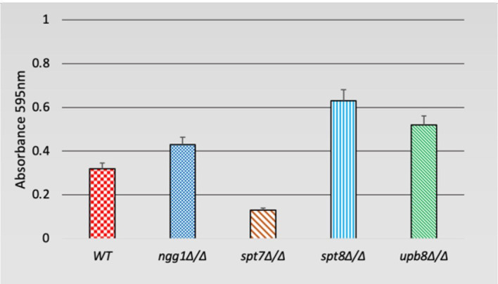 Figure 5