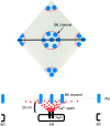 F<sc>igure</sc> 5.