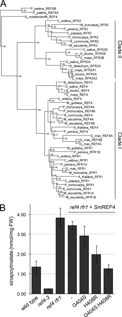 FIGURE 6.