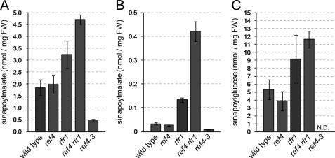 FIGURE 2.