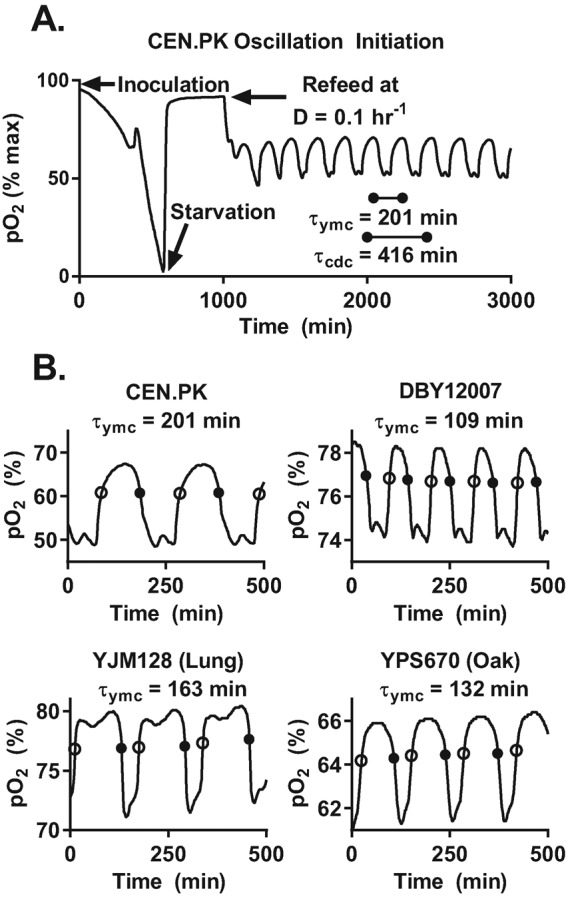 FIGURE 1: