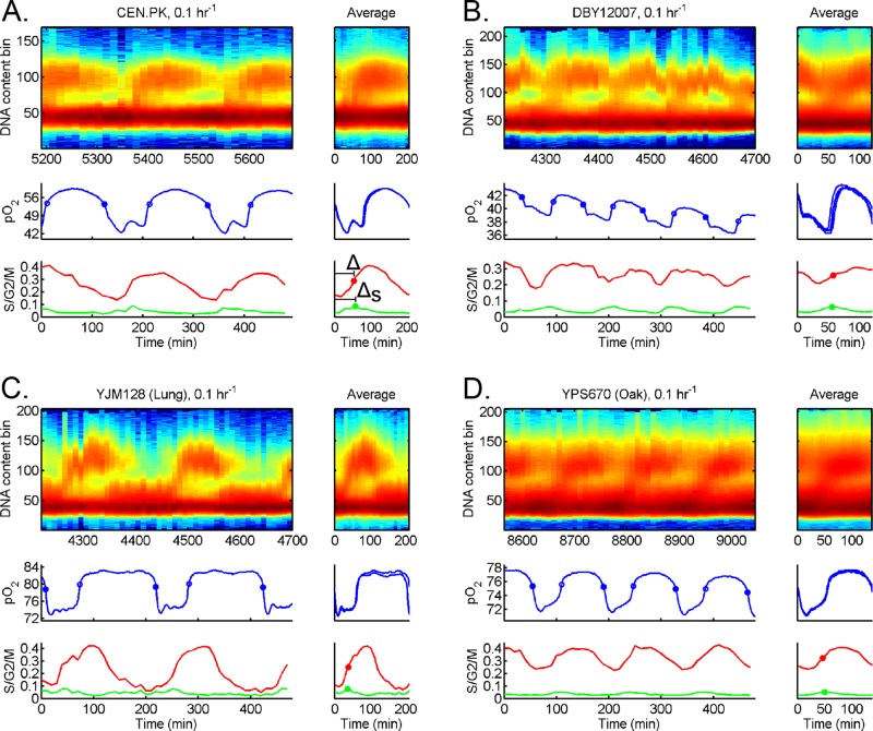 FIGURE 4: