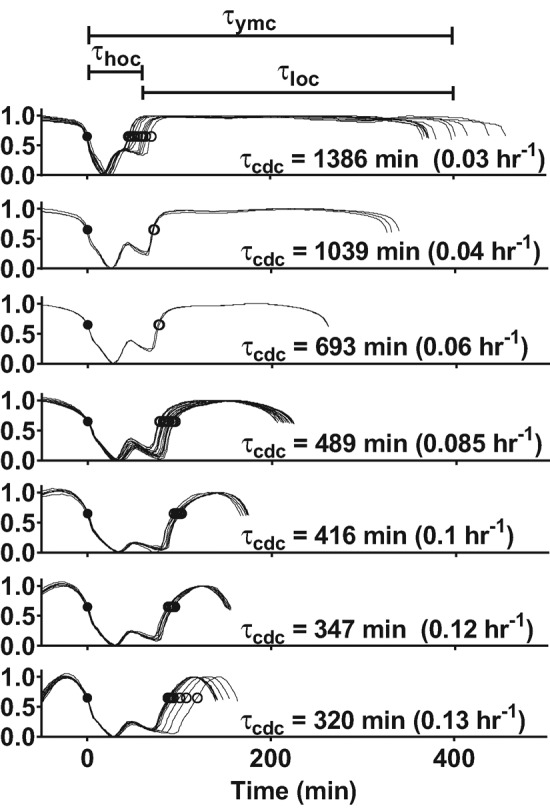 FIGURE 2: