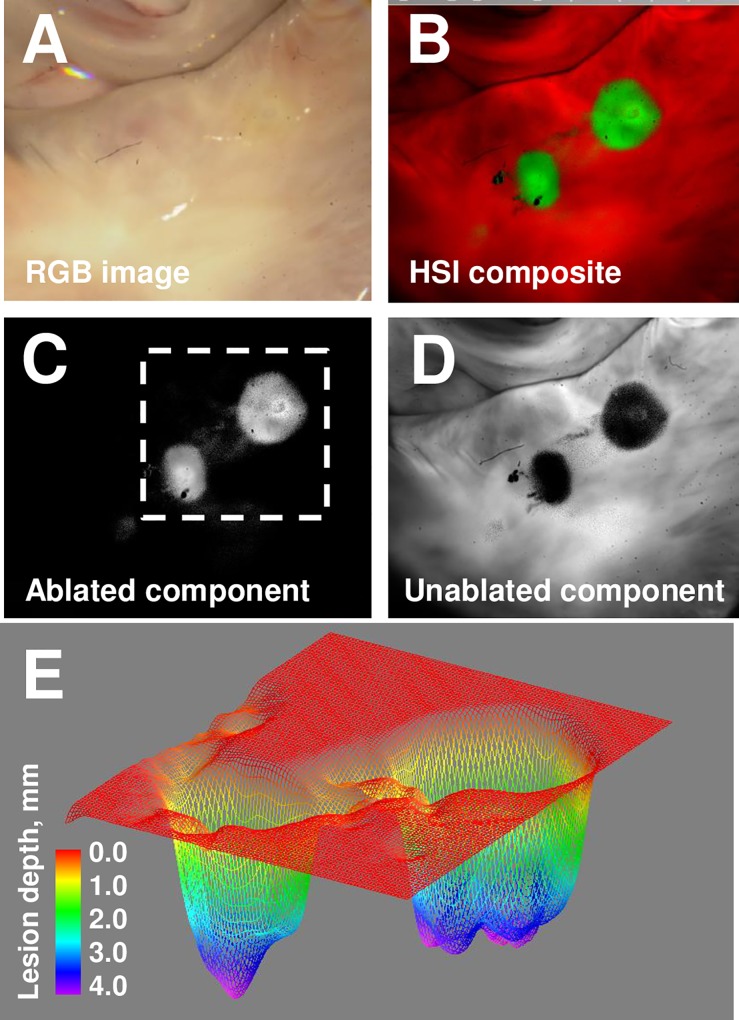 Fig 7