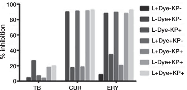 Figure 4: