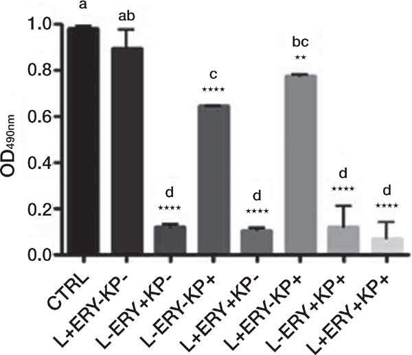 Figure 3: