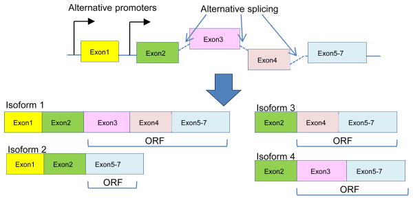 Figure 4