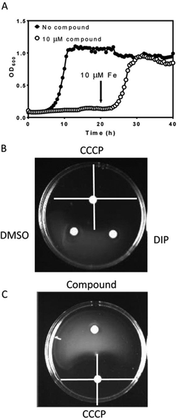 FIG 4 