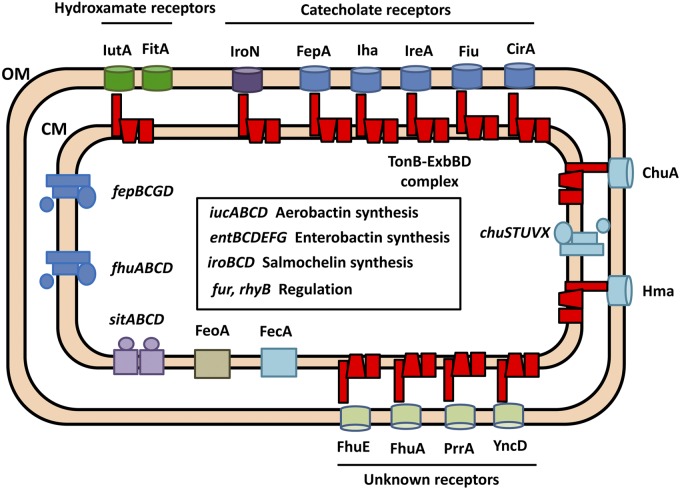 FIG 1 