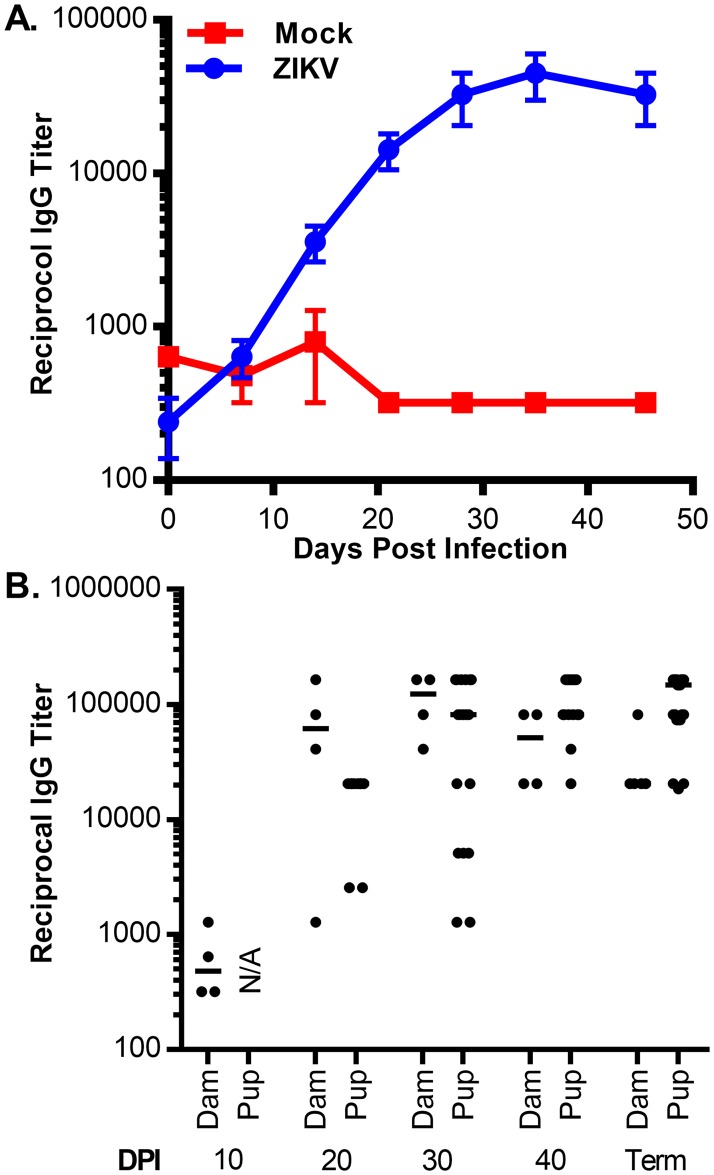 Fig 5