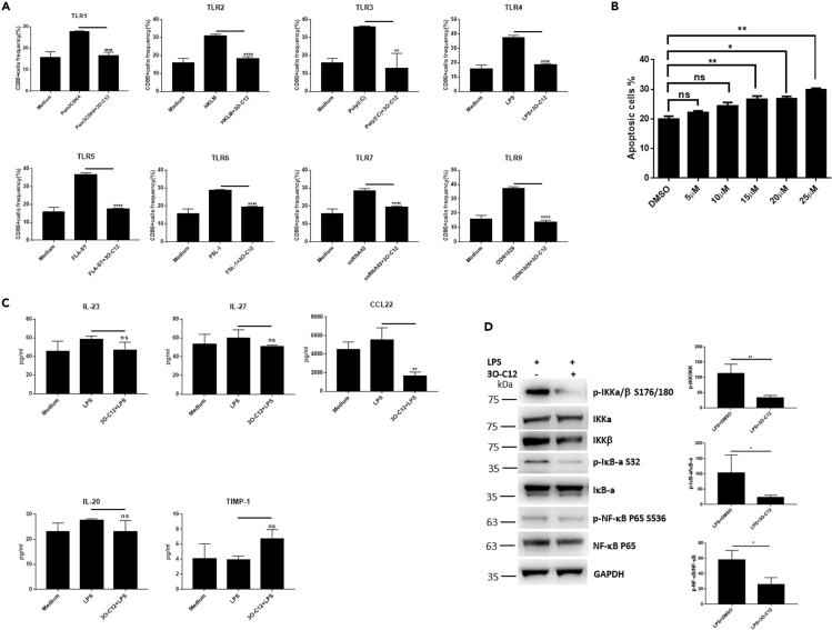 Figure 3