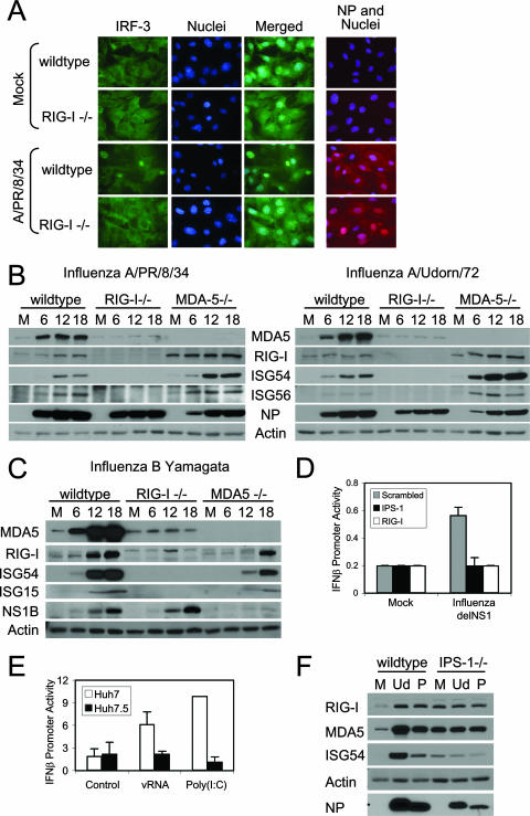 FIG. 4.