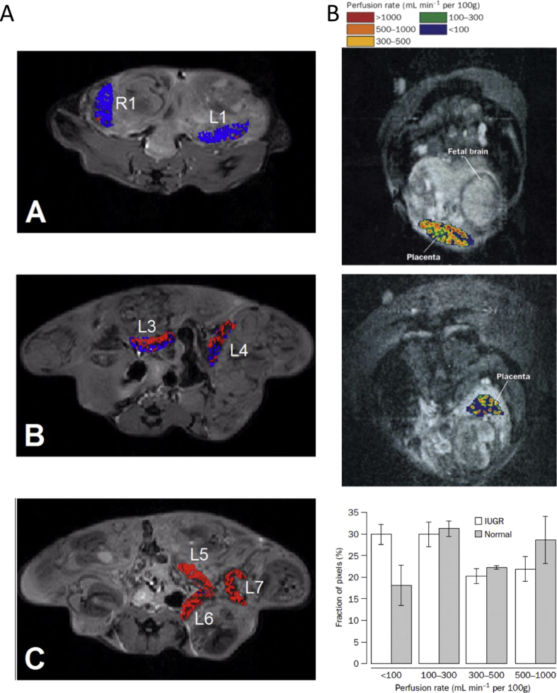 Fig. 2