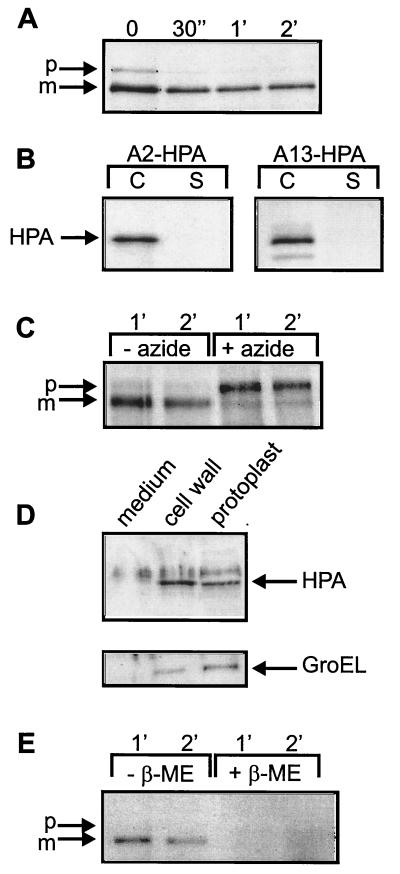 FIG. 5