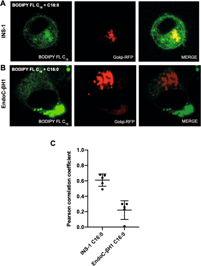 Fig. 4