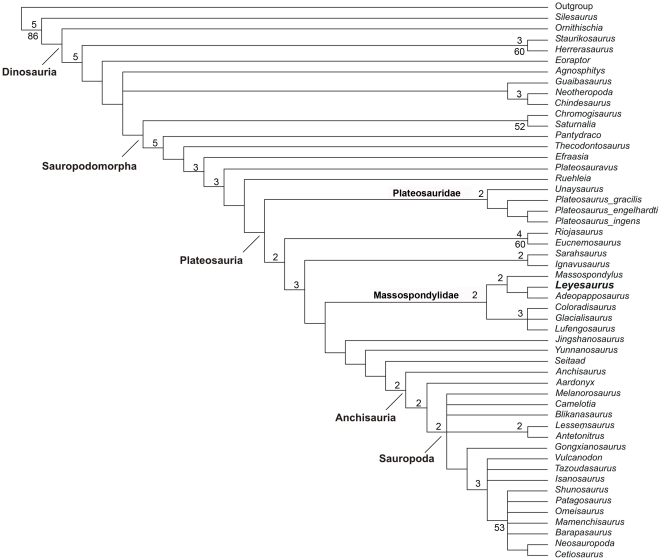 Figure 13