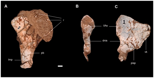 Figure 10